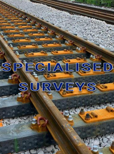 Specialised Surveys South Wales